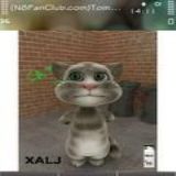 Download Tom Cat Cell Phone Game